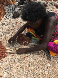 Marrnyula Mununggurr collects shells on the way to Dhaliwuy Bay